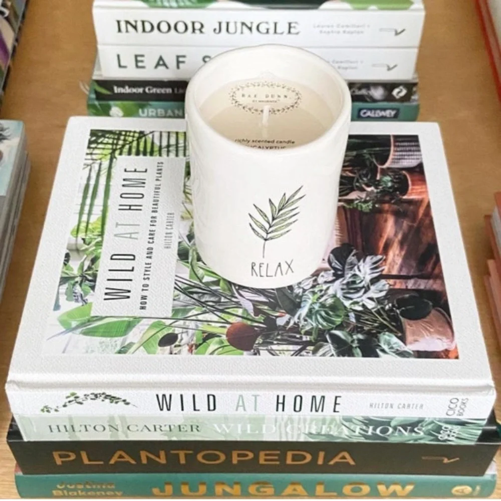 Rae Dunn EUCALYPTUS Scented Candle in Ceramic - Picture 3 of 8